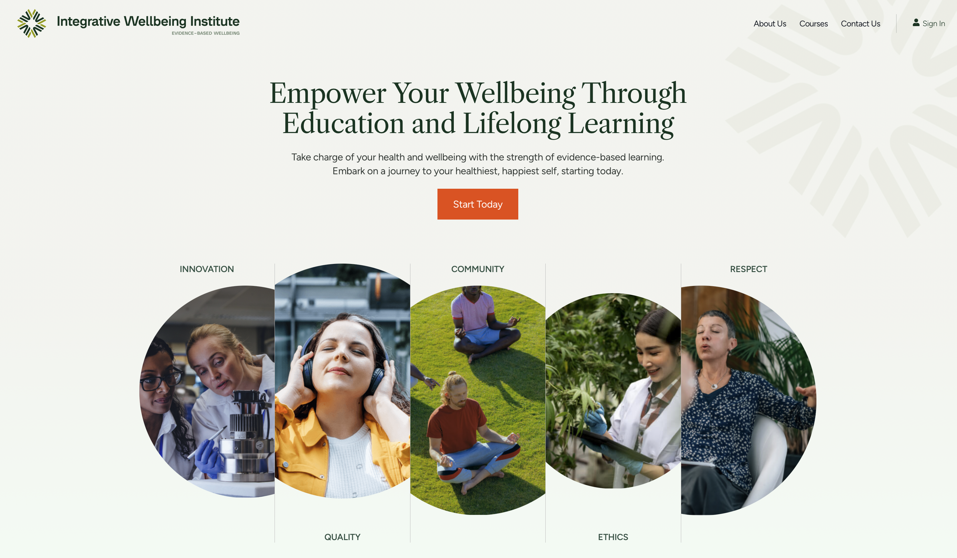 best healthcare web design - integrativer wellbeing institute