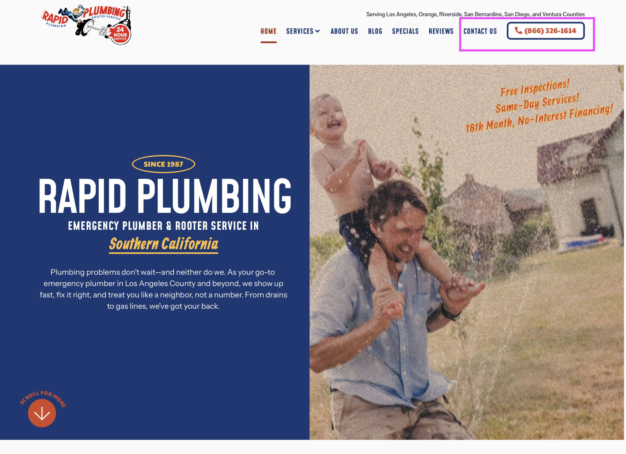 hero section cta plumbing website